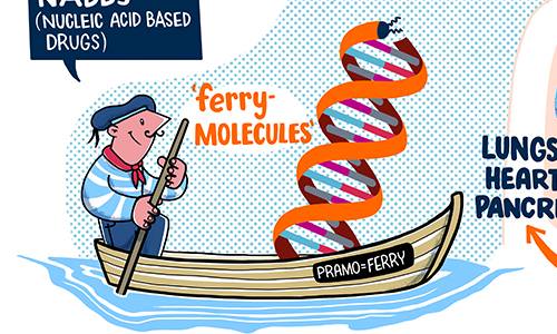 Portfolio illustration start up studio animanova