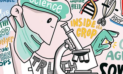 animanova Graphic Recording digital FAO