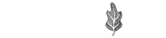 Animated GIF studio animanova ilustracion