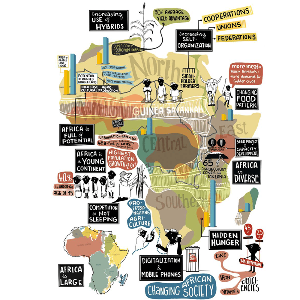 Ilustración Informativa Infografía África Alimentos Semillas studio animanova