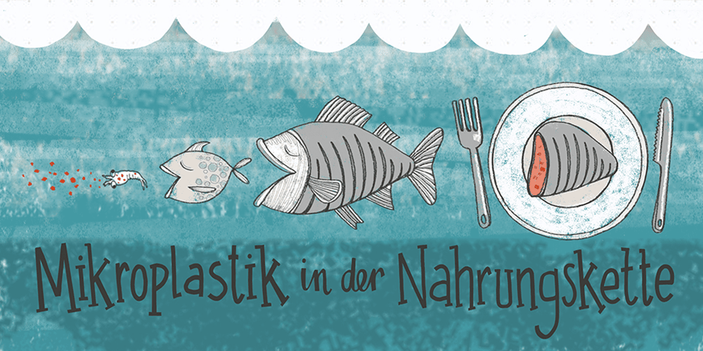 Lehrbuch Kids for the Ocean Illustration studio animanova Mikroplastik in der Nahrungskette