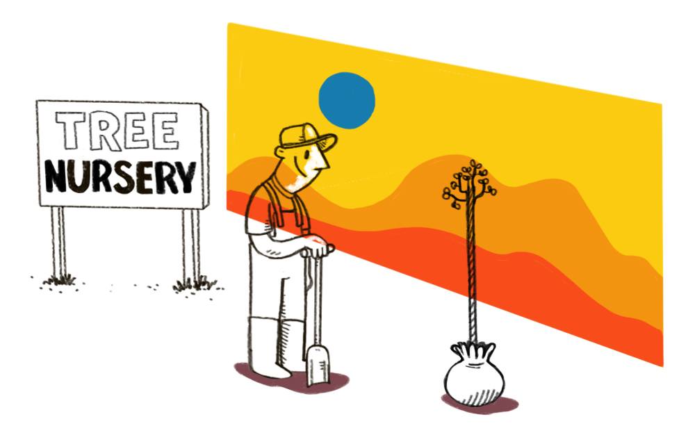 Step 5: Design & Visuals